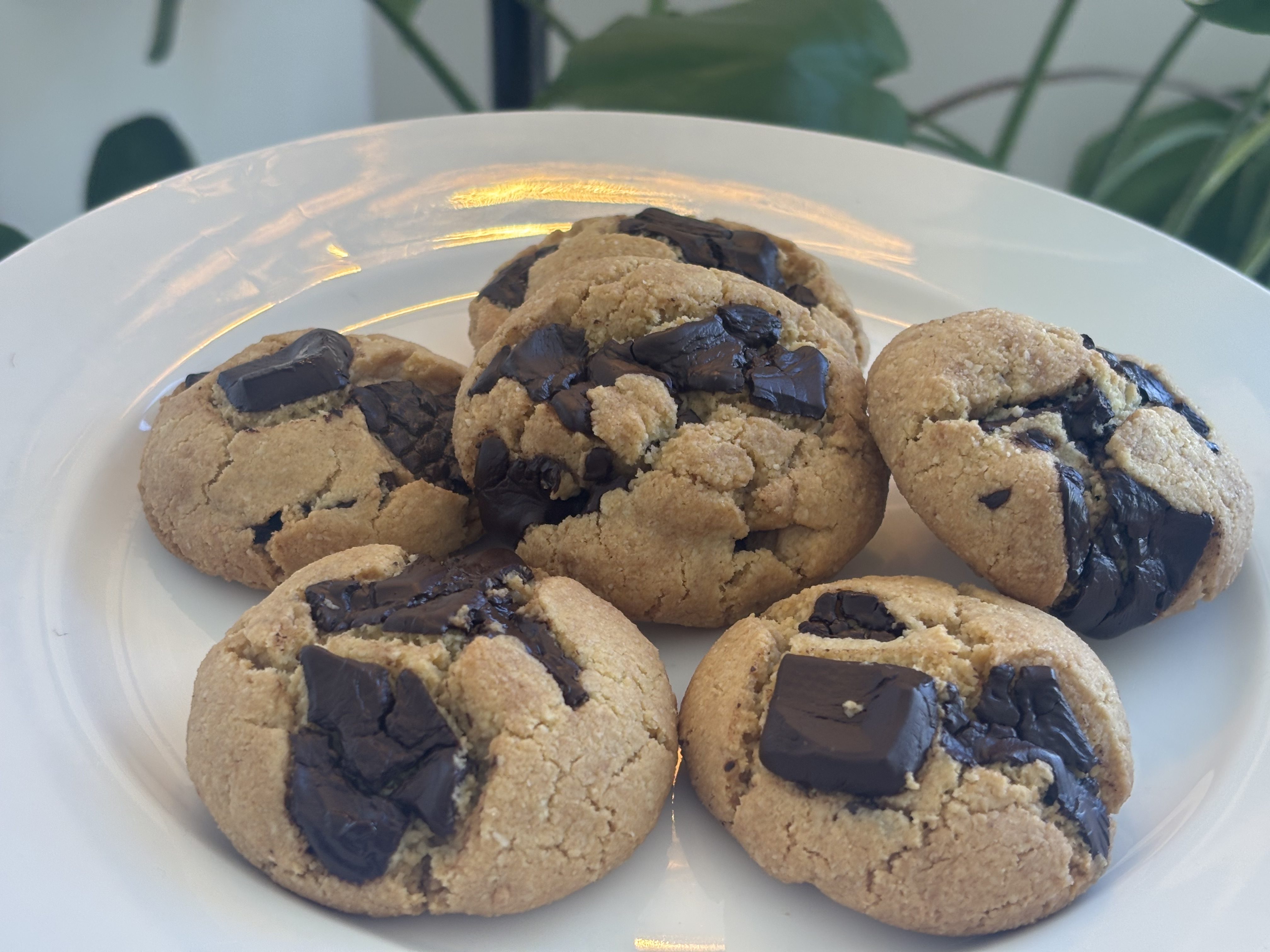 Dark Chocolate Grain-Free Cookies